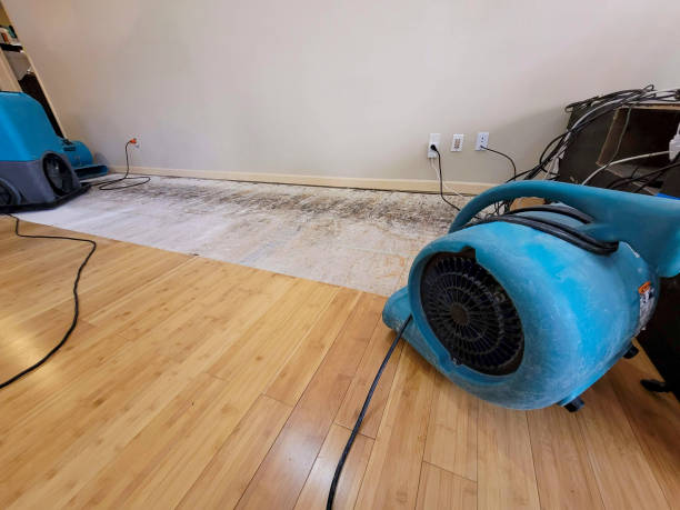 Professional Flood Damage Cleanup technician working in Pitcairn, PA